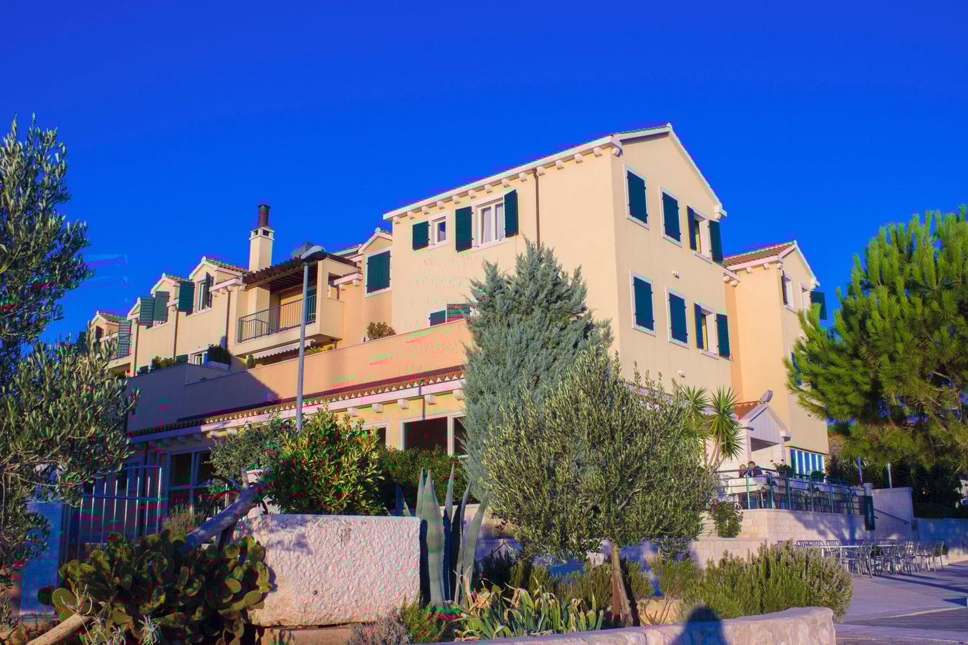 Spongiola-General-view-1