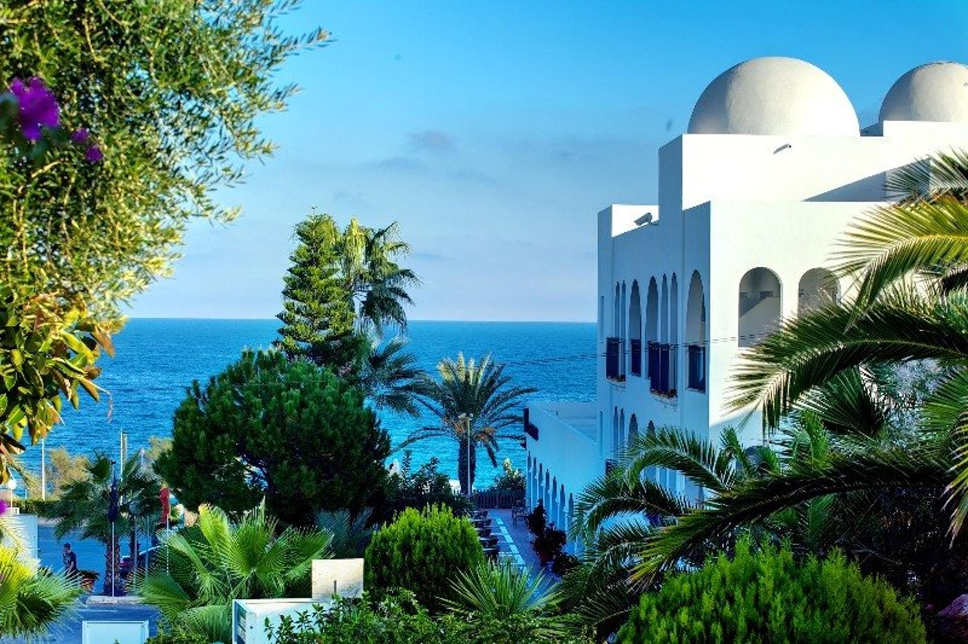 El-Puntazo-General-view-11