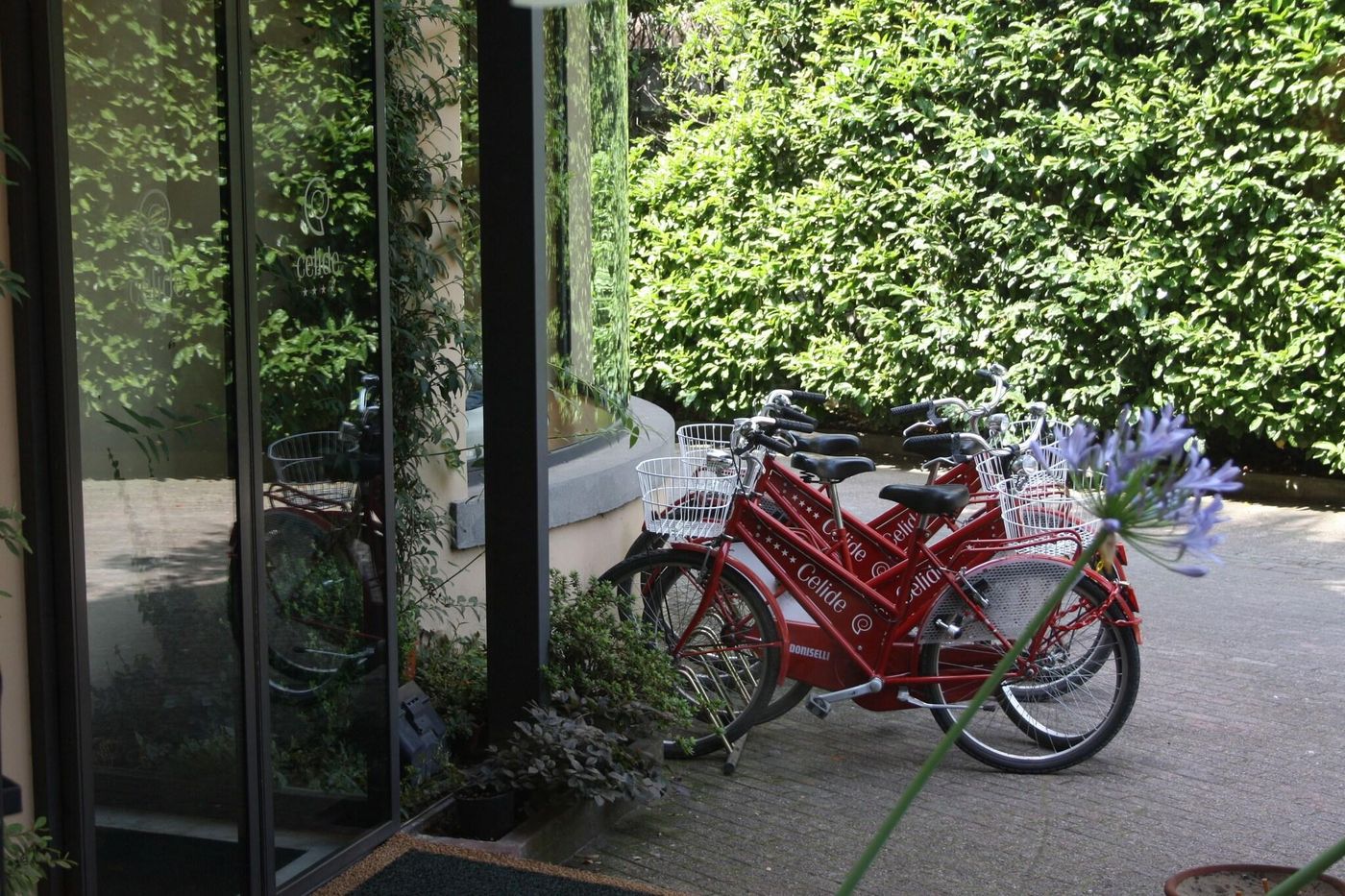 Albergo-Celide-Sports-and-Entertainment-7