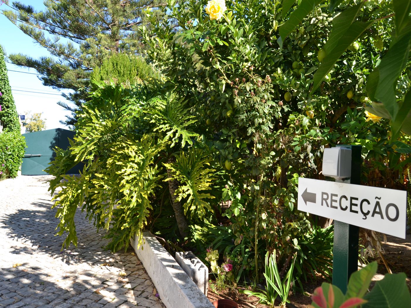 Flor-Da-Laranja-General-view-20