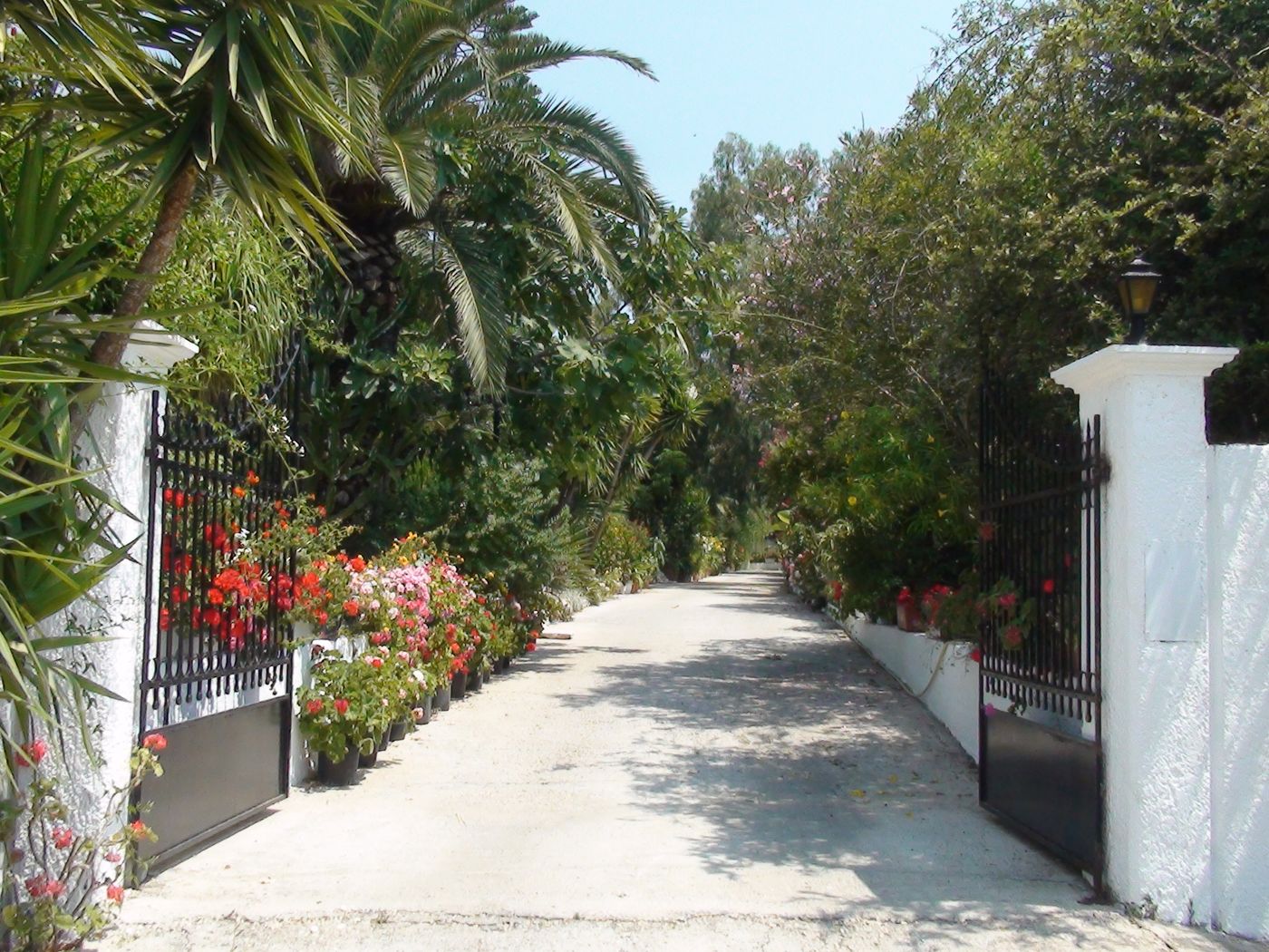 Baha-Ammes-General-view-7