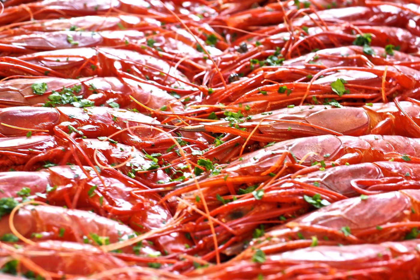 Hotel-Punta-Negra-Restaurant-89