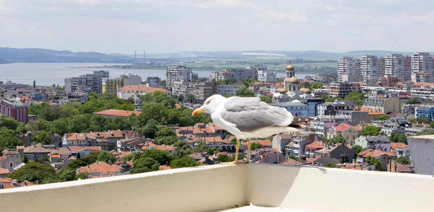 Hotel-Cherno-More-Terrace-36