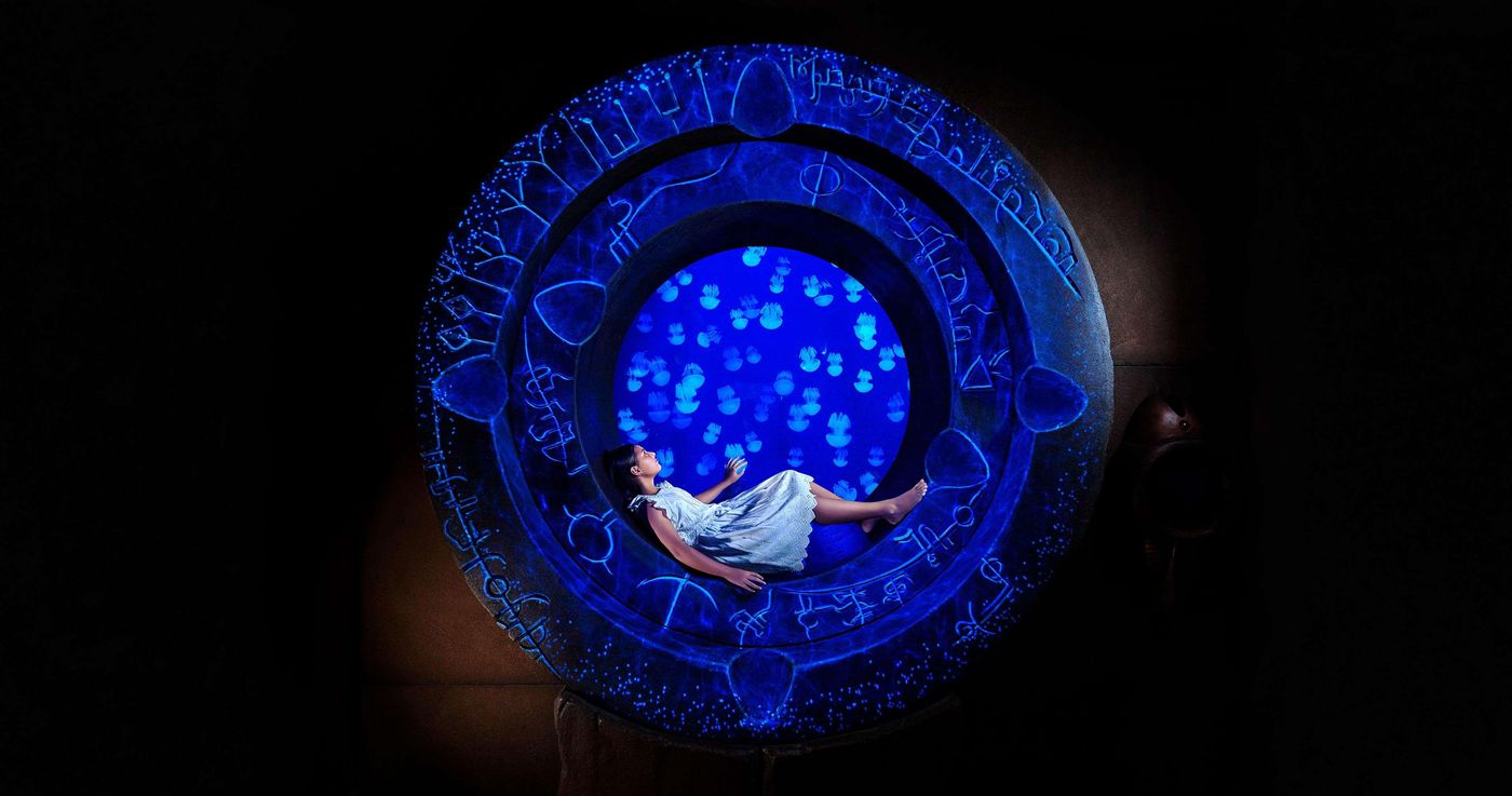 Atlantis--The-Palm-Sports-and-Entertainment-72