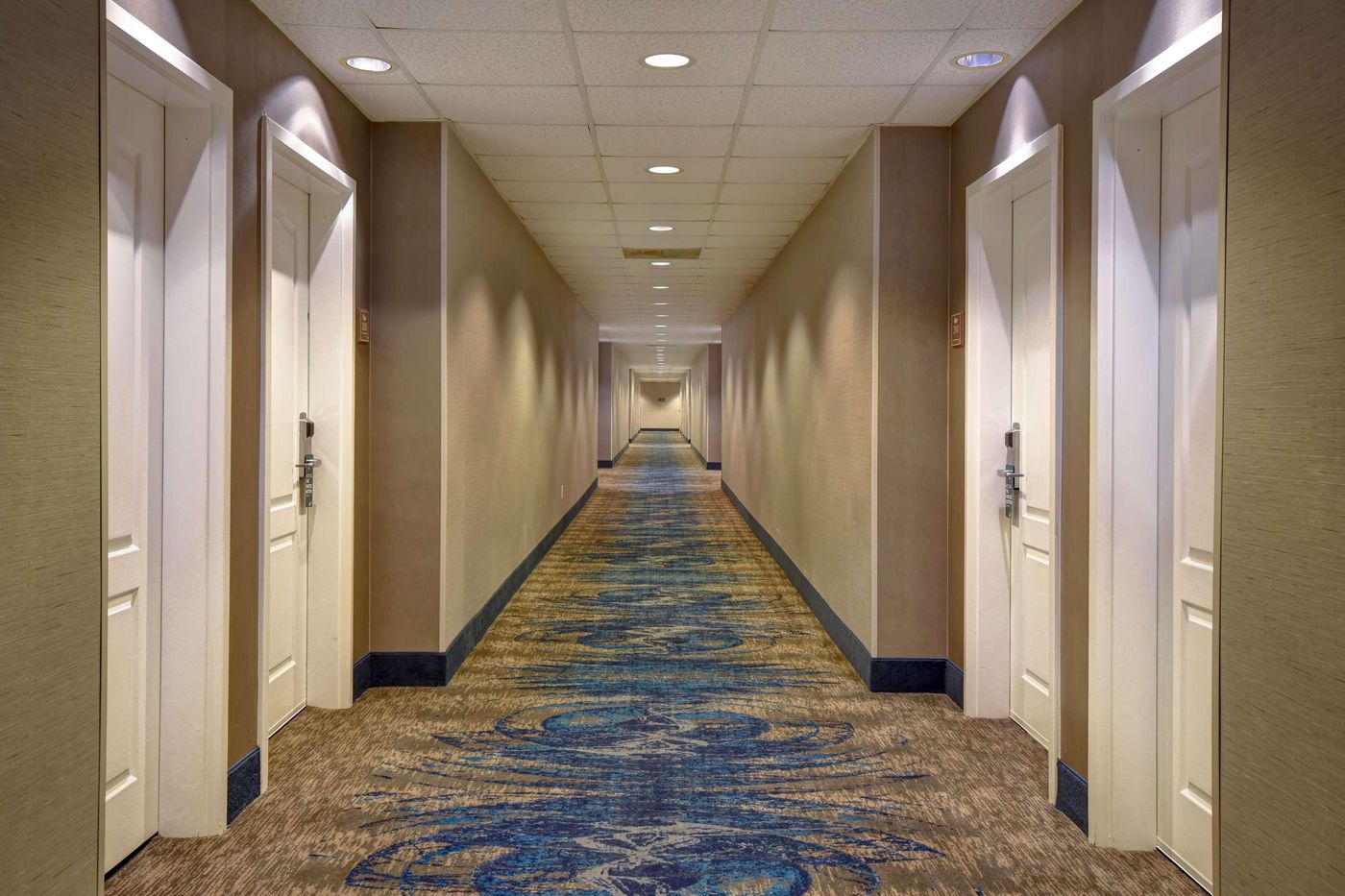 Homewood Suites By Hilton HOU Intercontinental-United States-HOUSTON-General view-1