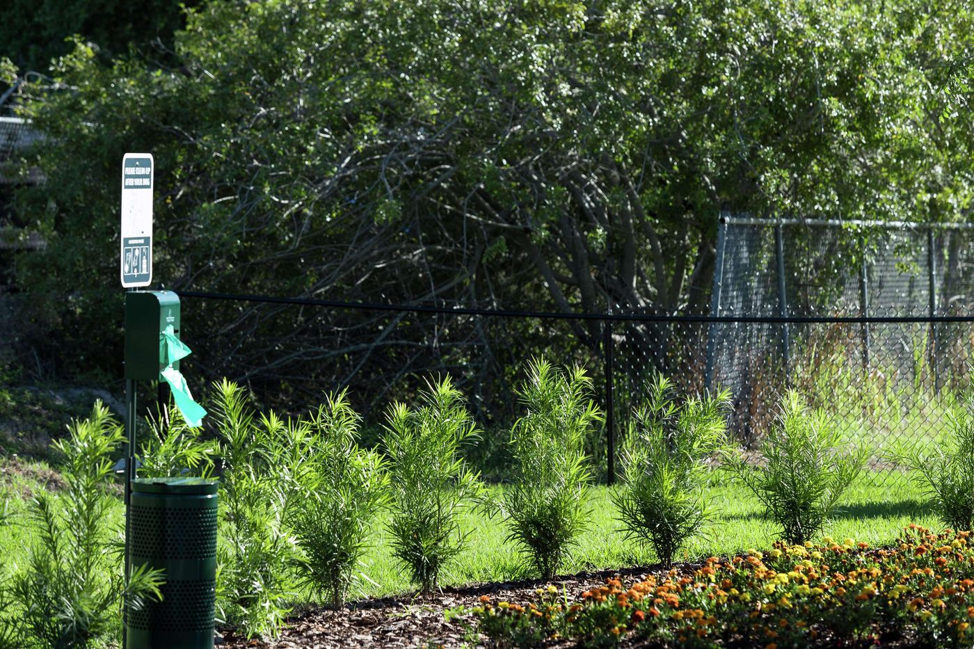 Home2 Suites by Hilton Orlando Airport-United States-Orlando-General view-2