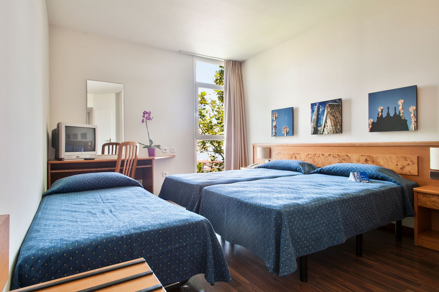 Quality-Reus-Room-12