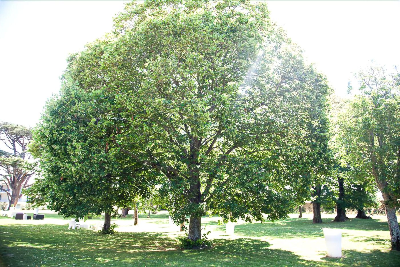 Hôtel & Spa du Château-France-LAGORD-General view-2