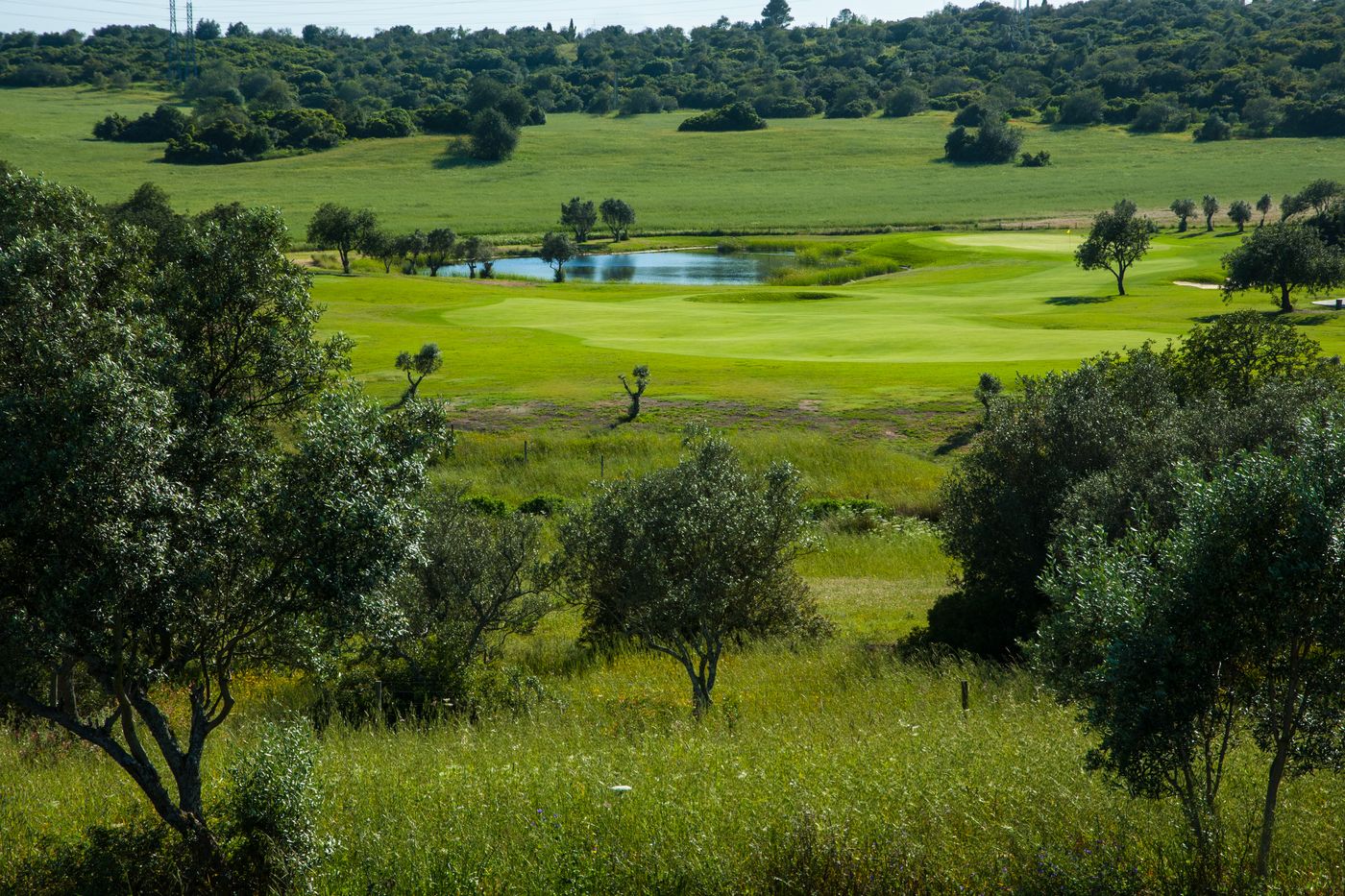 Morgado-Golf---Country-Club-General-view-29