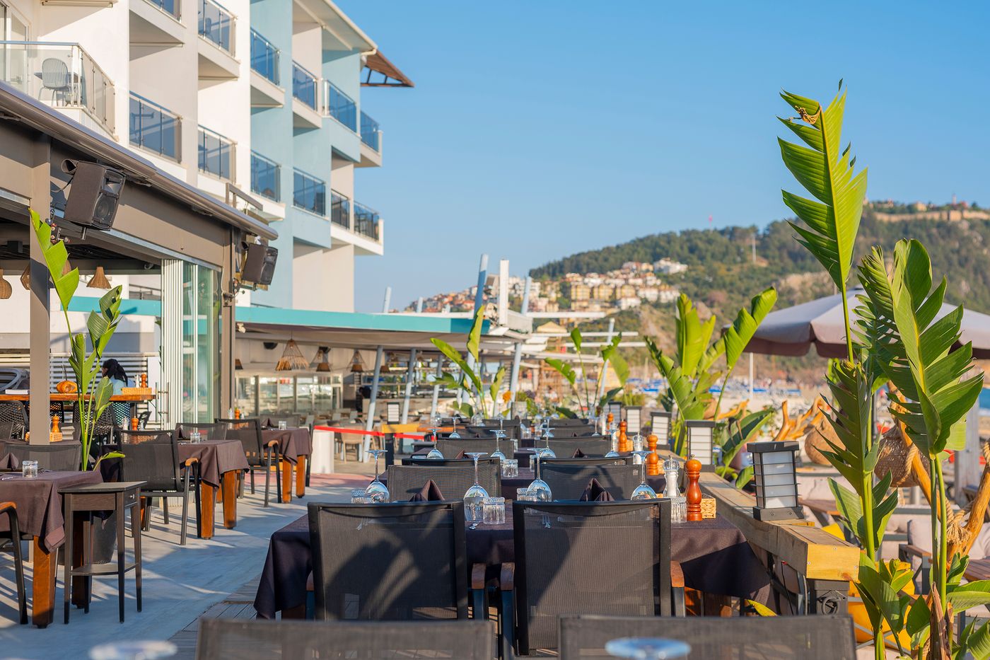 Royalisa-Palmiye-Beach-Hotel---Adults-Only-Restaurant-79