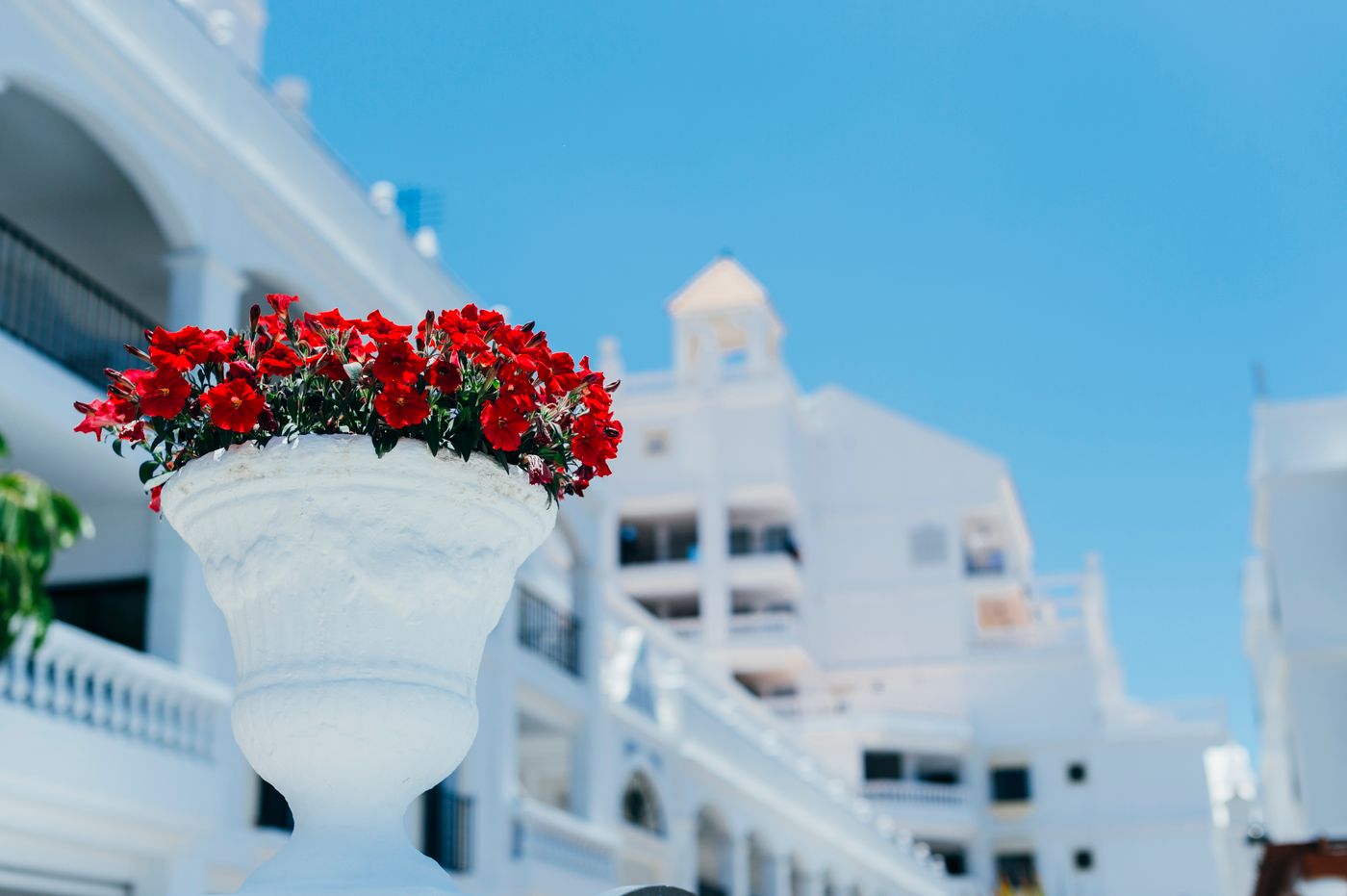 ONA-Hollywood-Mirage-General-view-21