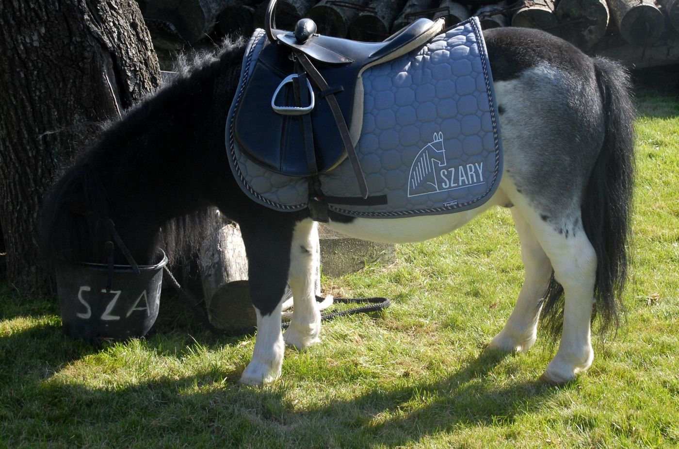 Szary-Residence-Sports-and-Entertainment-25