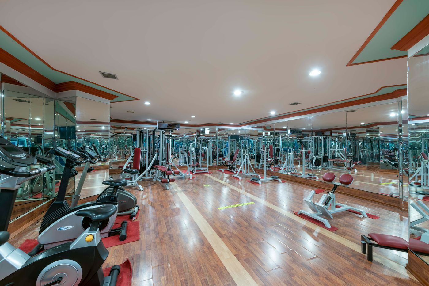 Armas Kaplan Paradise