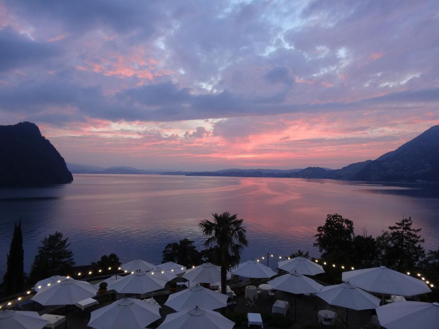 Flora Alpina-Switzerland-VITZNAU -General view-10