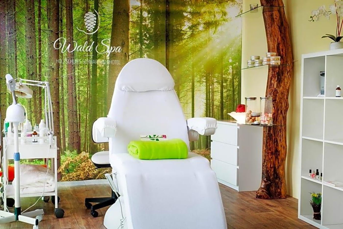 Schwarzwaldhotel Holzschuhs-Germany-BAIERSBRONN-General view-5