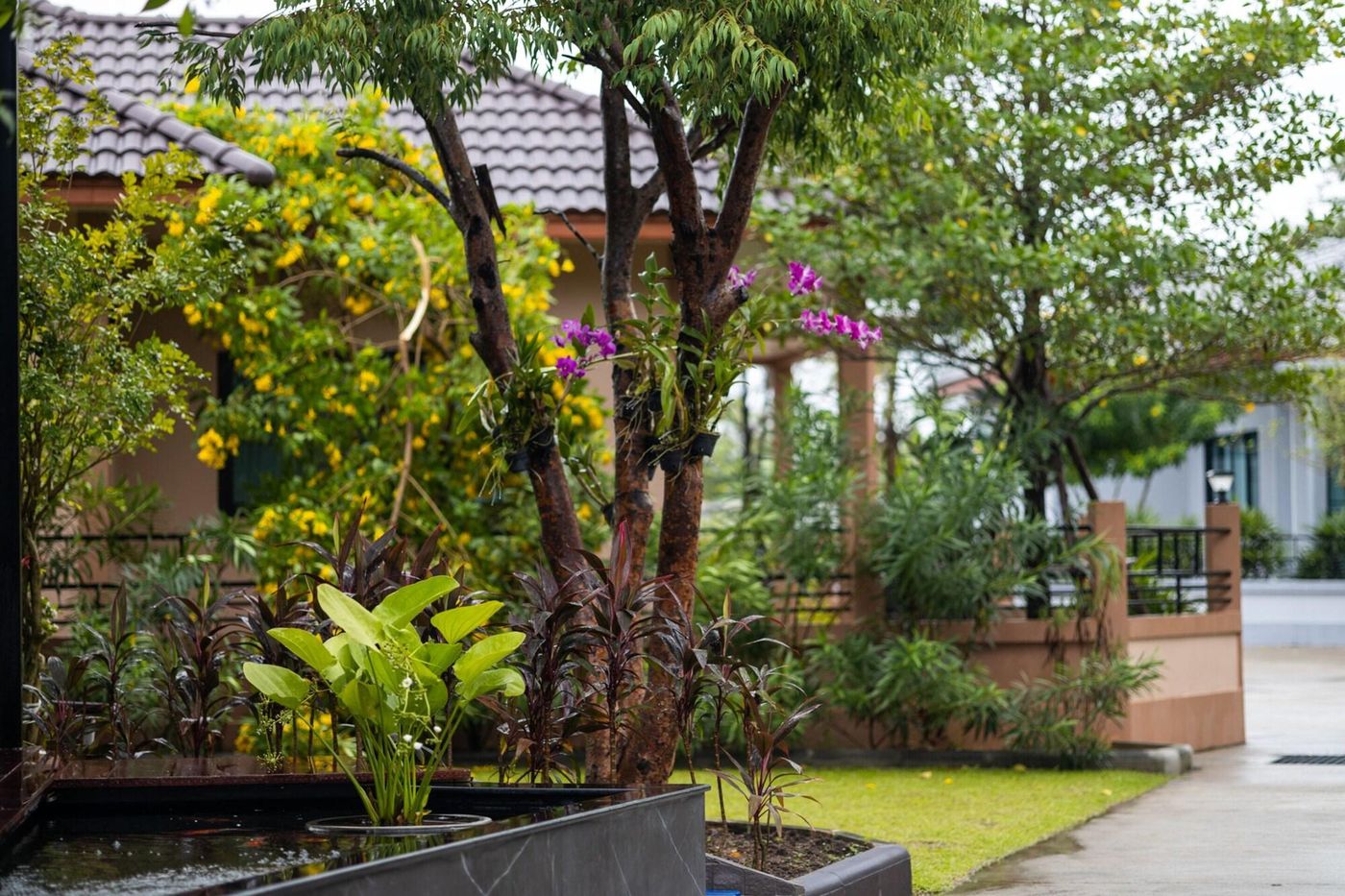 Baan Nern Khao Resort-Thailand-Banglamung-General view-9