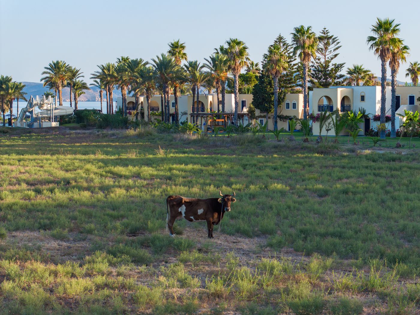 Grecotel-Casa-Paradiso-General-view-17