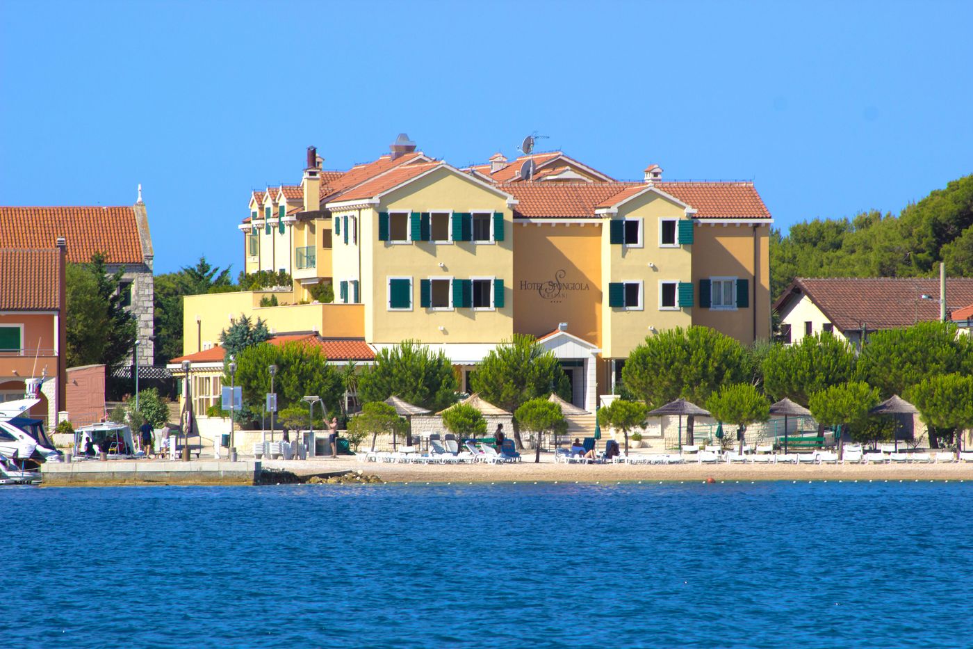 Spongiola-General-view-65