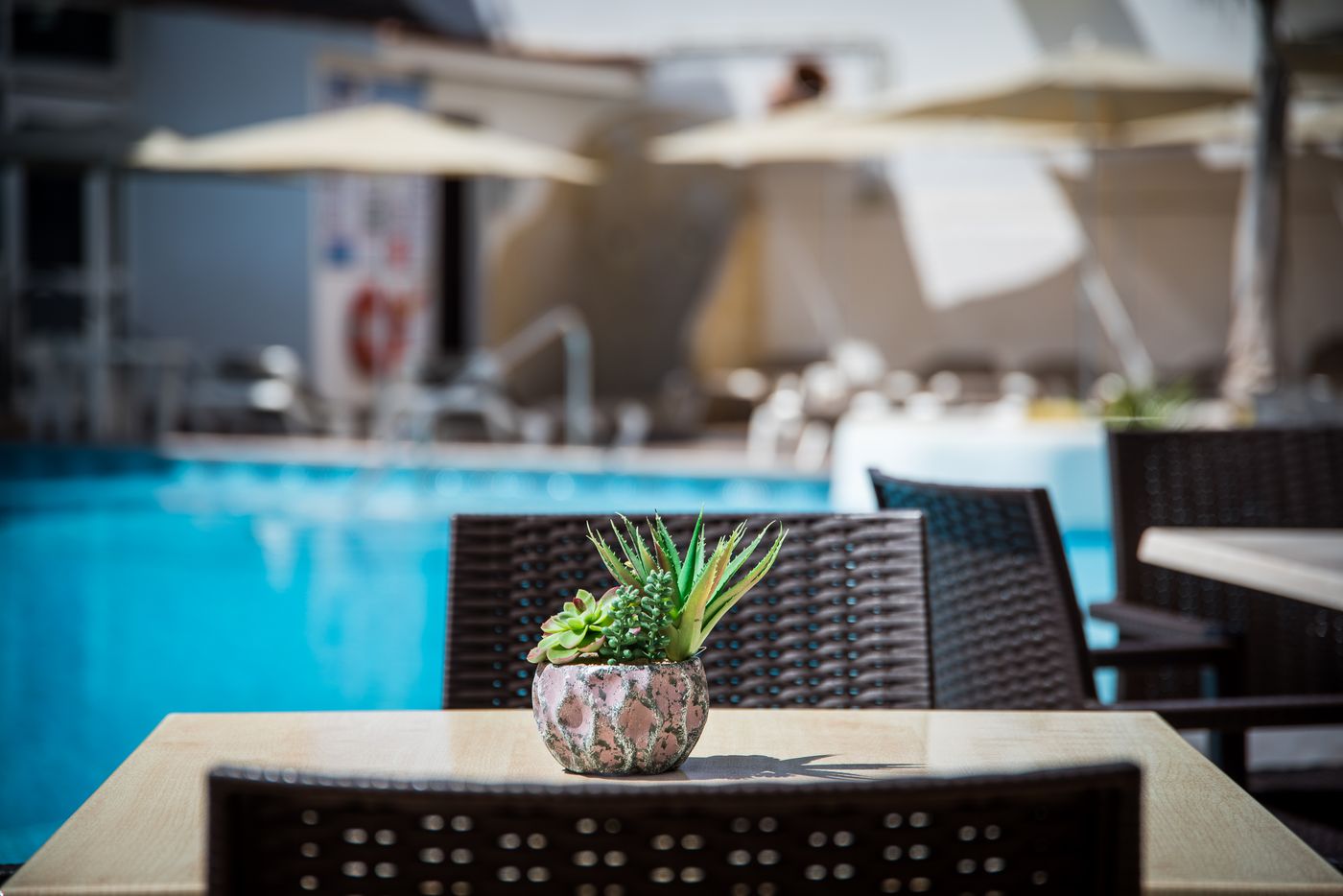 Vigilia-Park-Pool-70