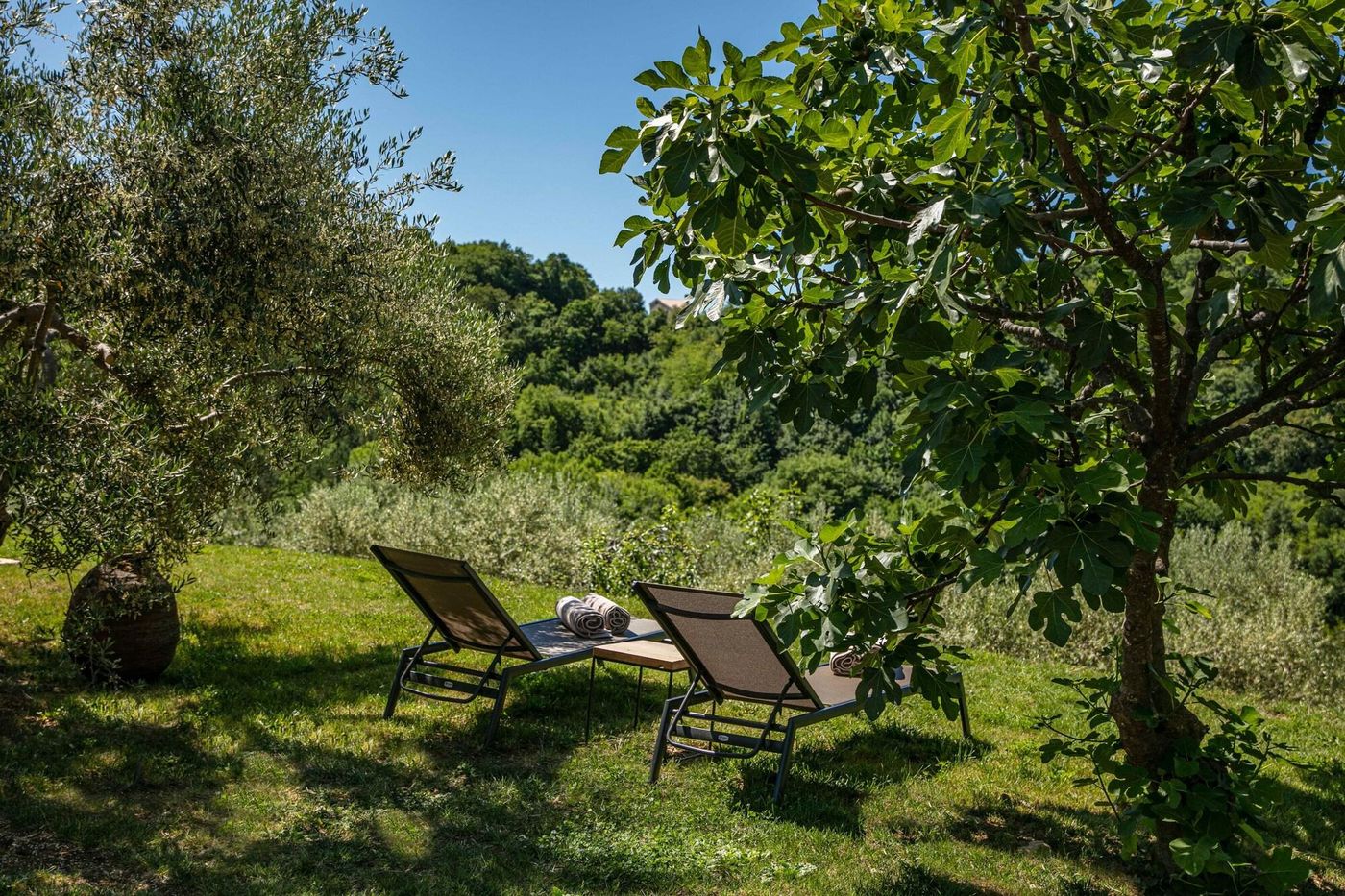 San Canzian Hotel and Residences-Croatia-Buje-General view-7