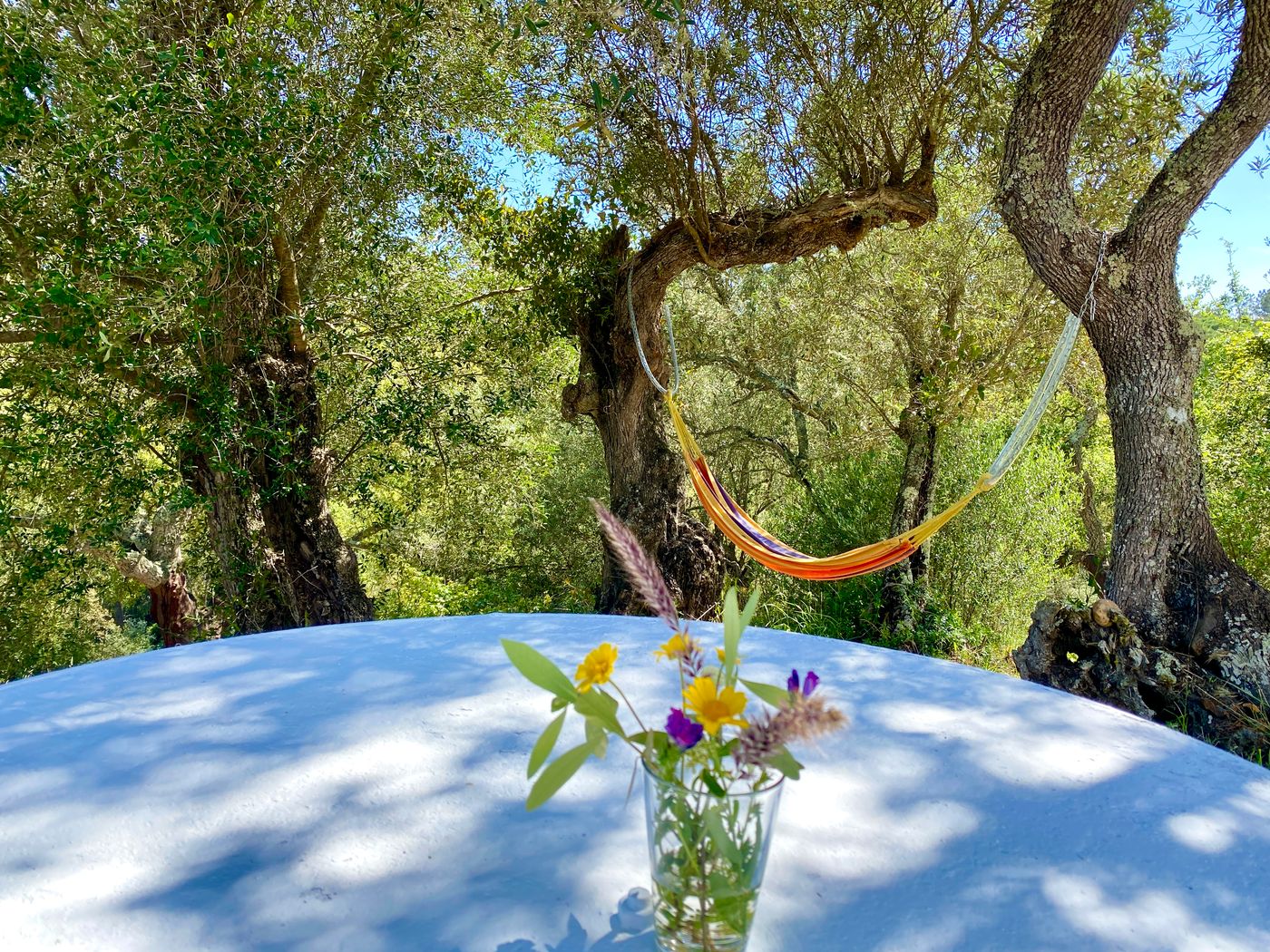 Monte-do-Zambujeiro-Room-62