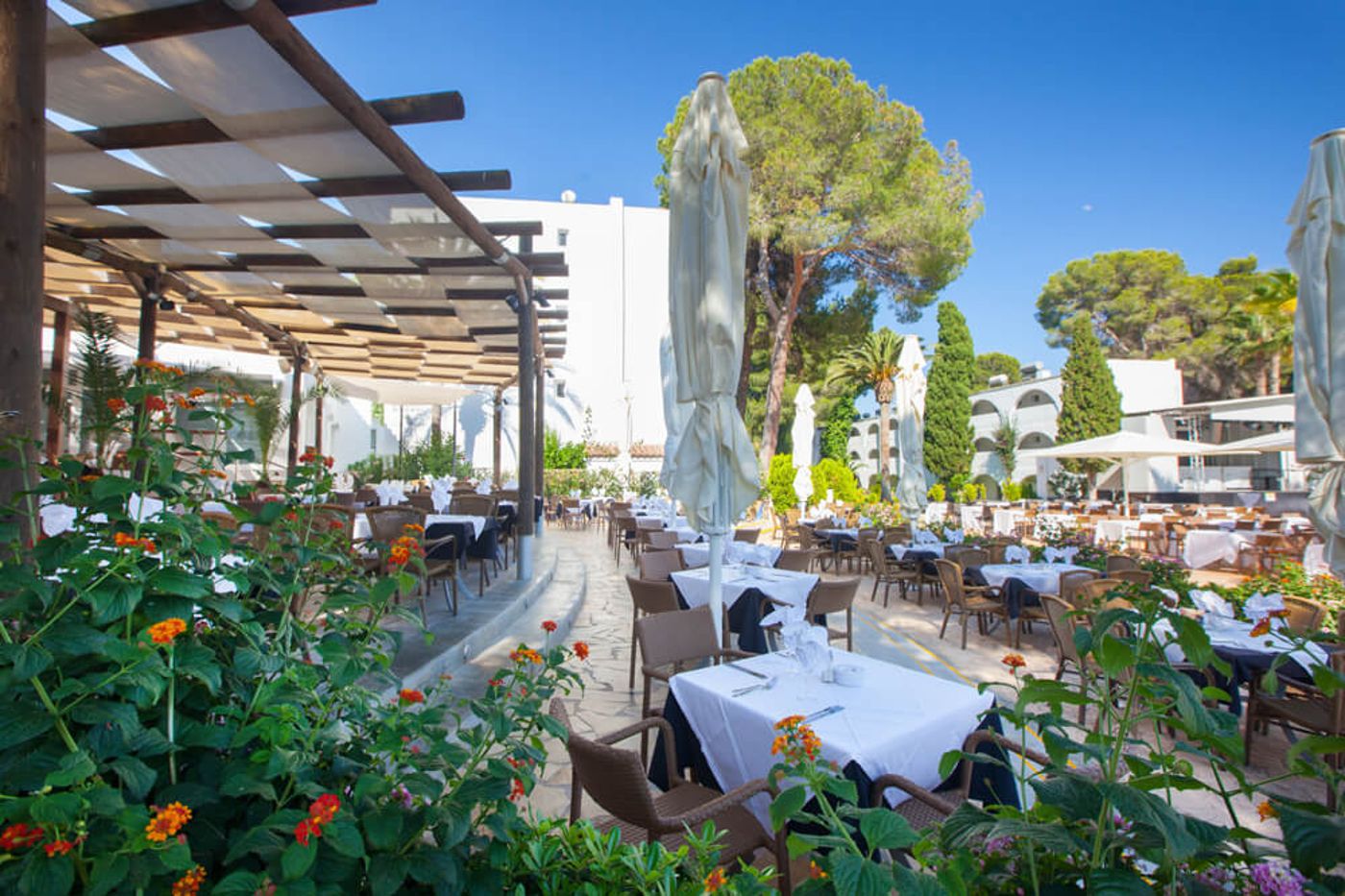 Magic Life Cala Pada