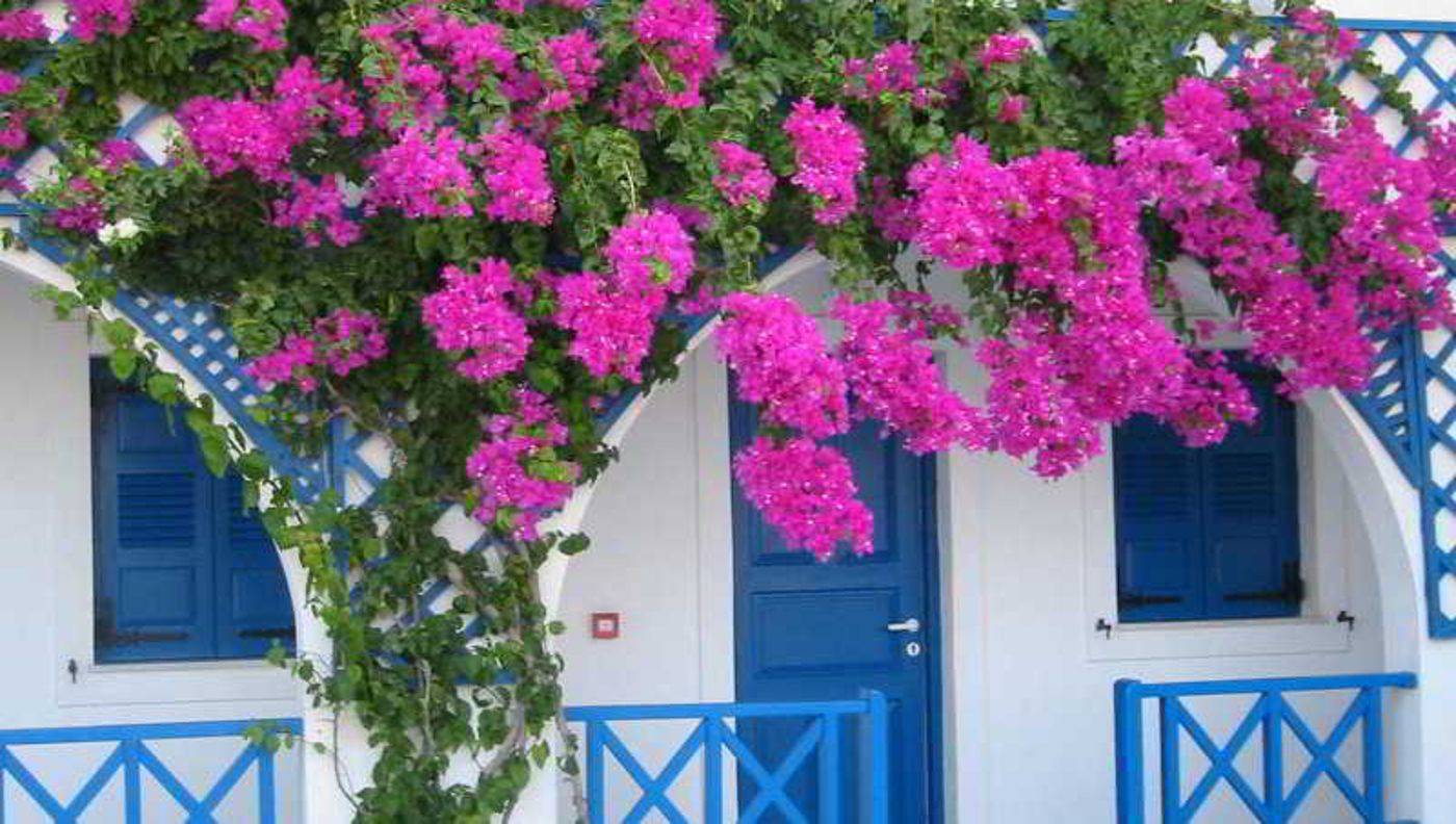 Margarenia Studios-Greece-PERISSA-General view-7