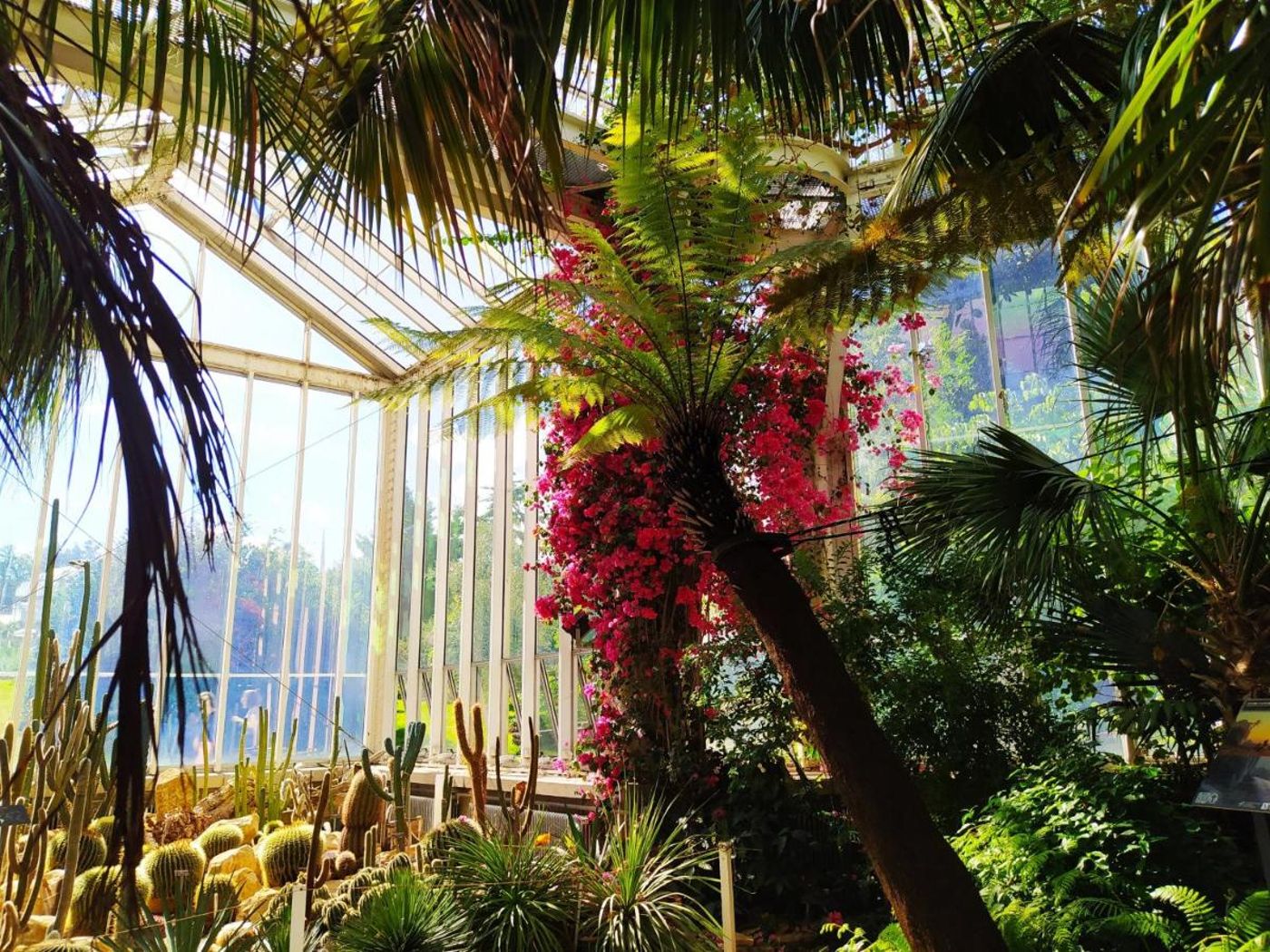 Drake Longchamp - Switzerland - GENEVA - Sports and Entertainment - 1