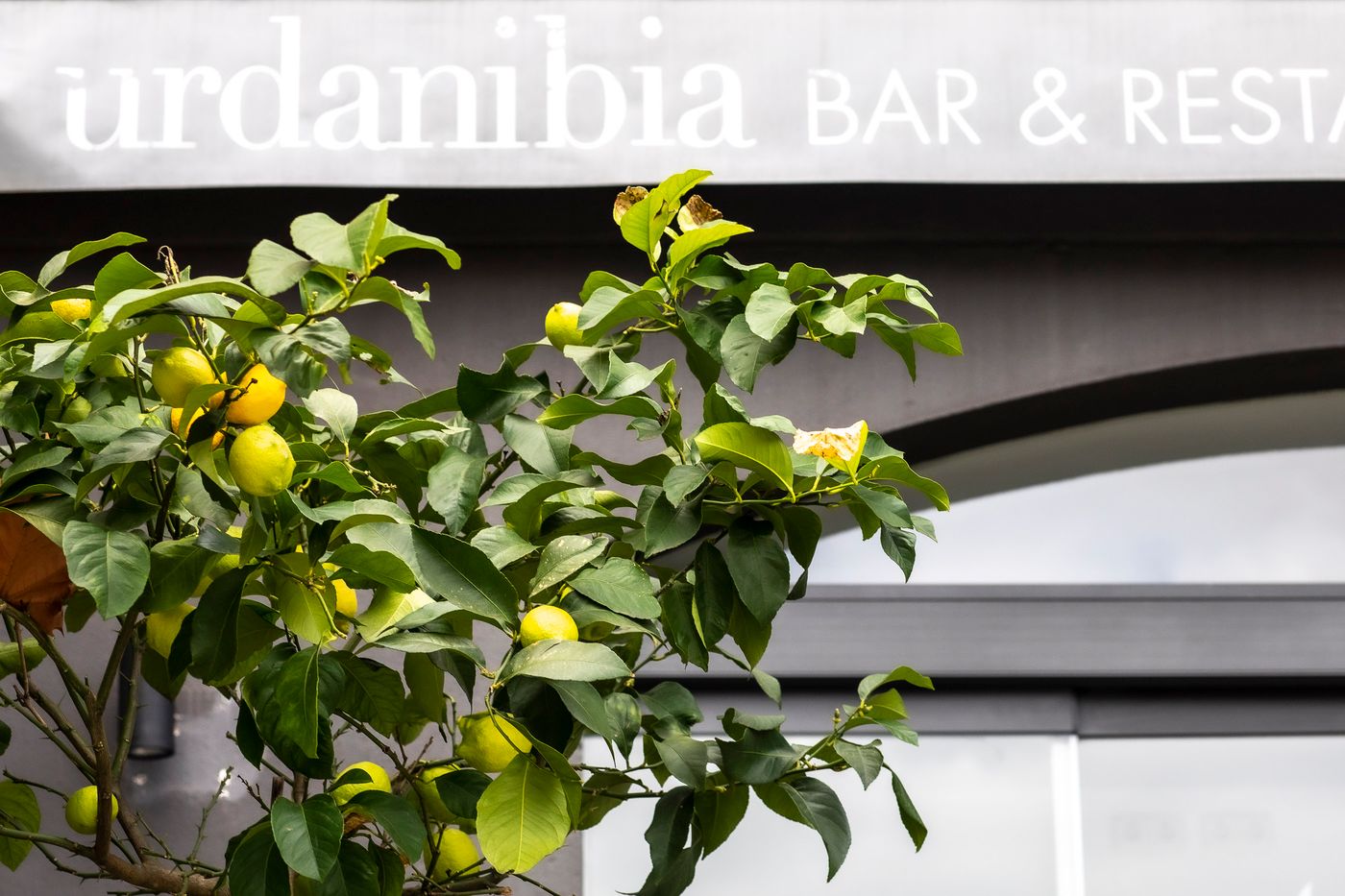 Hotel Urdanibia Park-Spain-IRUN-General view-2