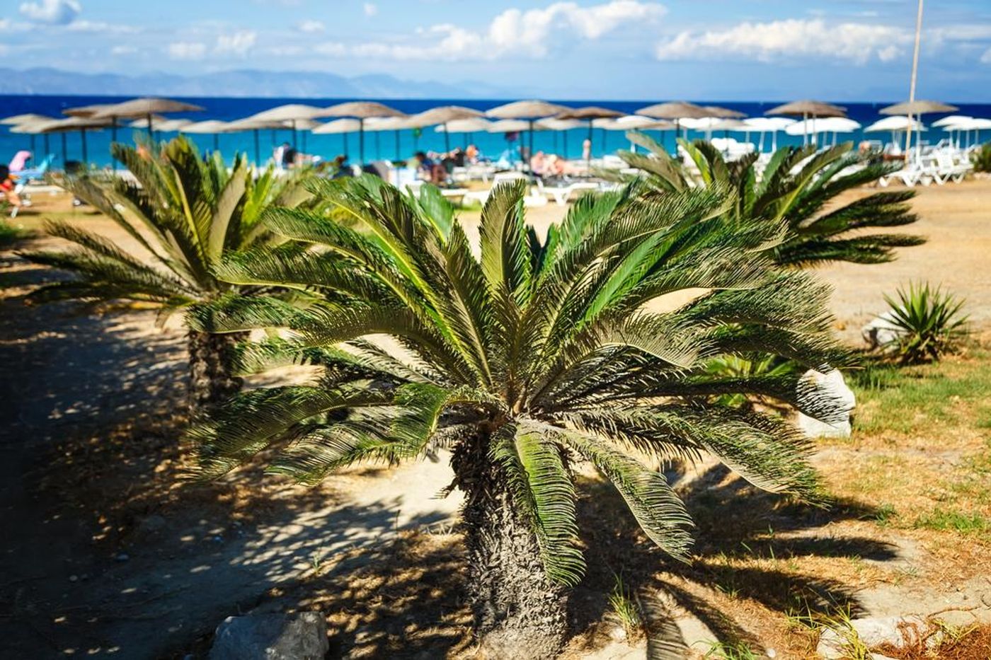 Dodeca Sea Resort (ex Forum Beach)