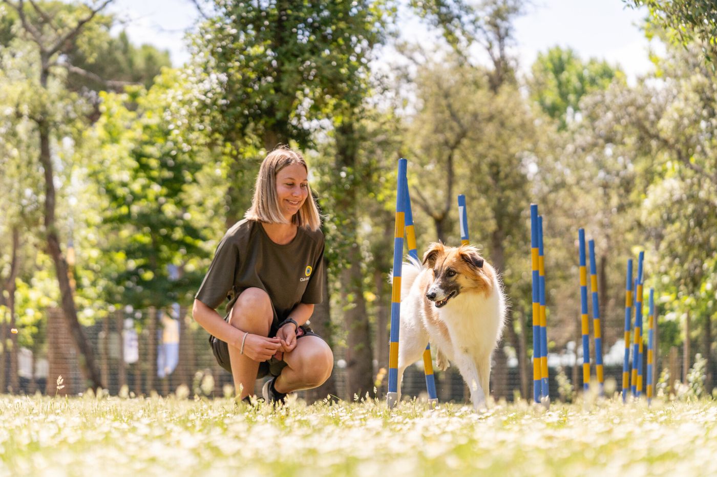 Club-del-Sole-Viareggio-Family-Collection-Sports-and-Entertainment-57