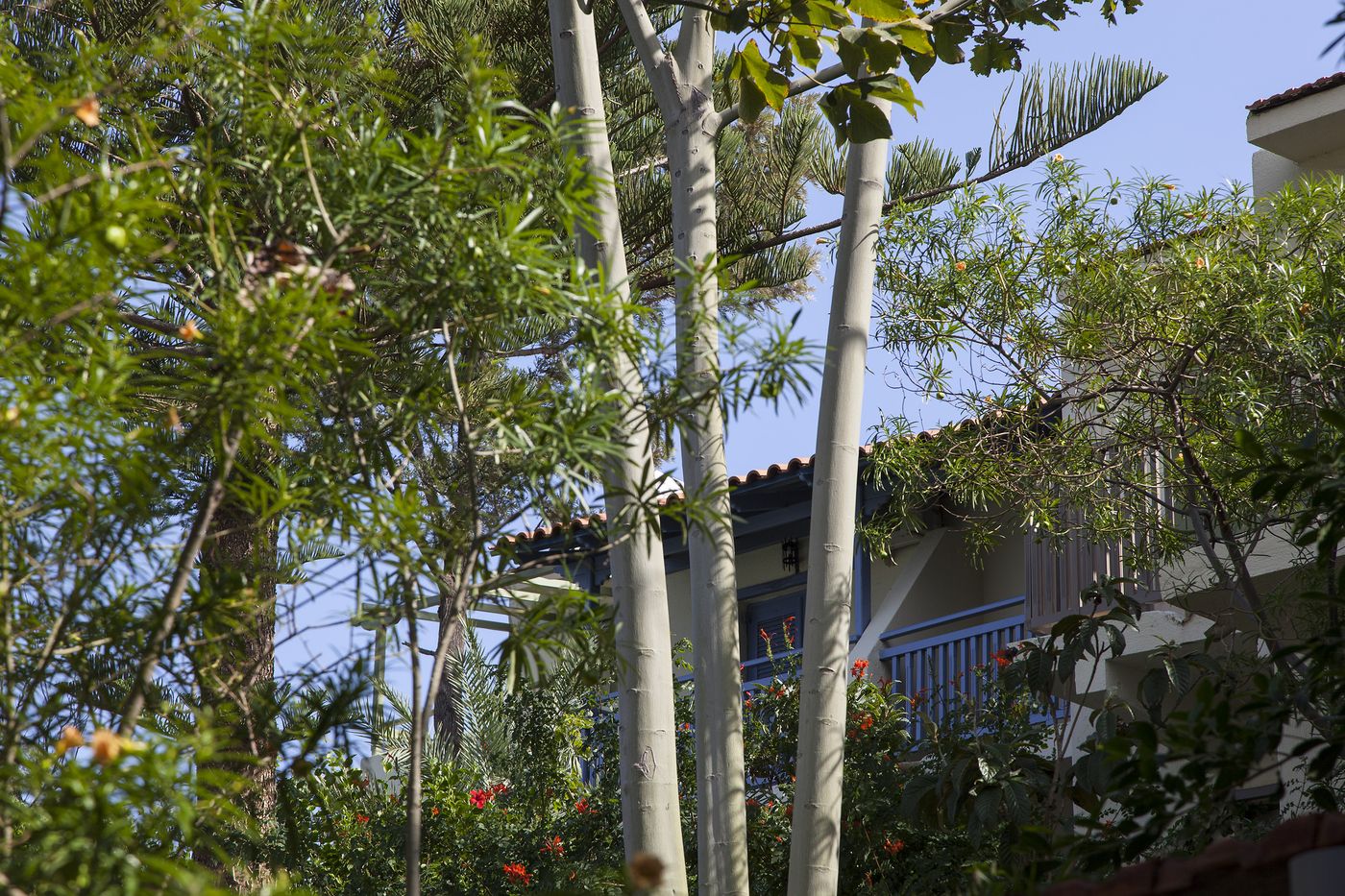 Elpida-Village-General-view-6