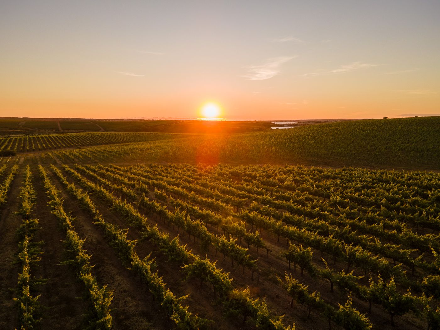 Vila-Gale-Alentejo-Vineyards--Clube-de-Campo--General-view-48