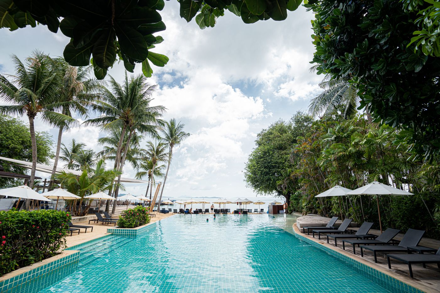 Barcelo-Coconut-Island-Pool-7