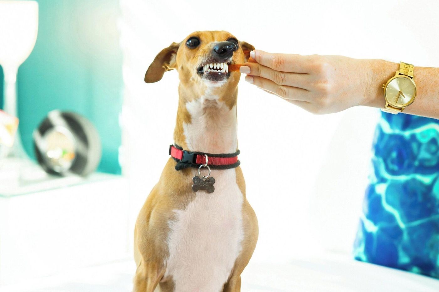 W Scottsdale-United States-SCOTTSDALE-General view-8