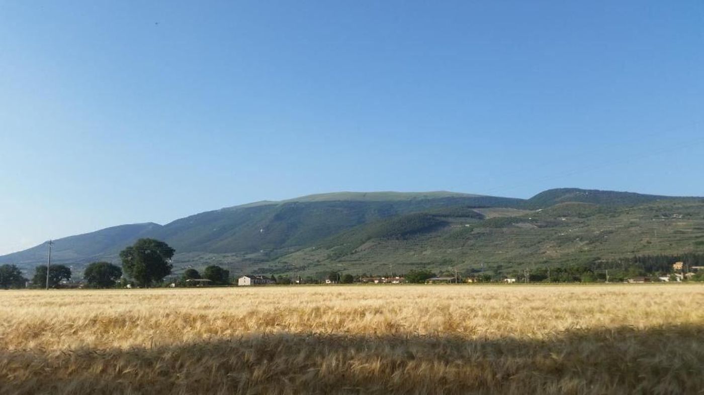 Bed And Breakfast Le Rose-Italy-SPELLO-General view-5
