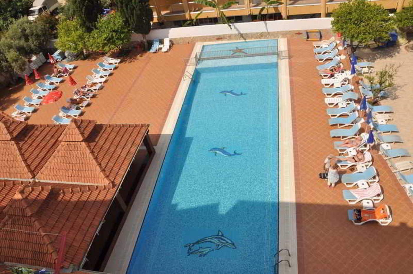 Hotel-Catty-Cats-Garden-Pool-11