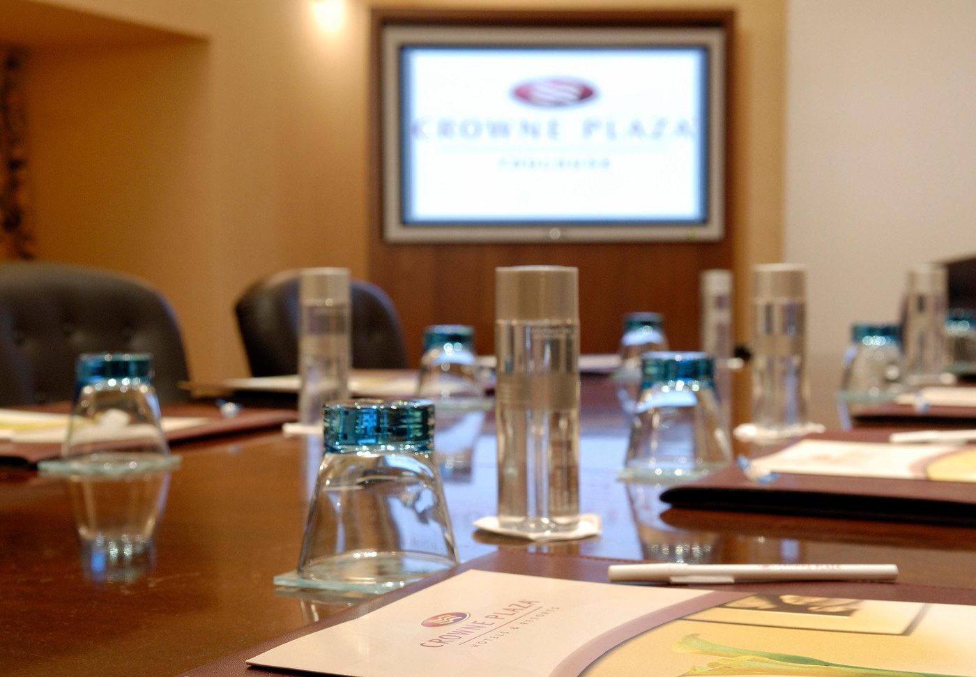 Plaza Hotel Capitole Toulouse - France - TOULOUSE - Conferences - 8