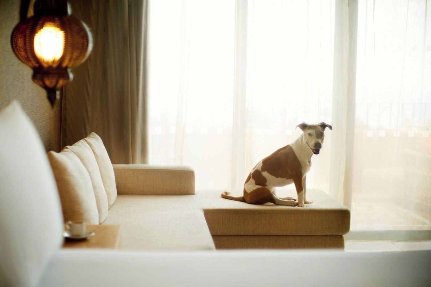 The-Ritz-Carlton-Abama-Room-52