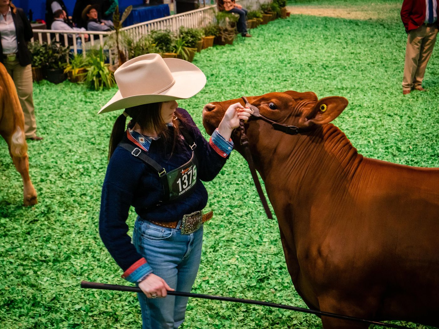 Staybridge Suites Houston - Galleria Area-United States-Houston-General view-4