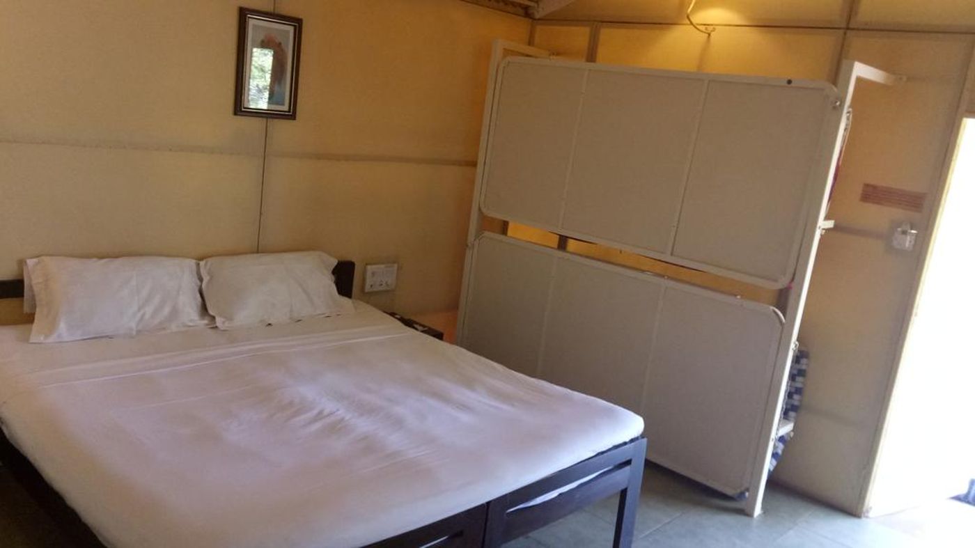 Primo Bom Terra Verde