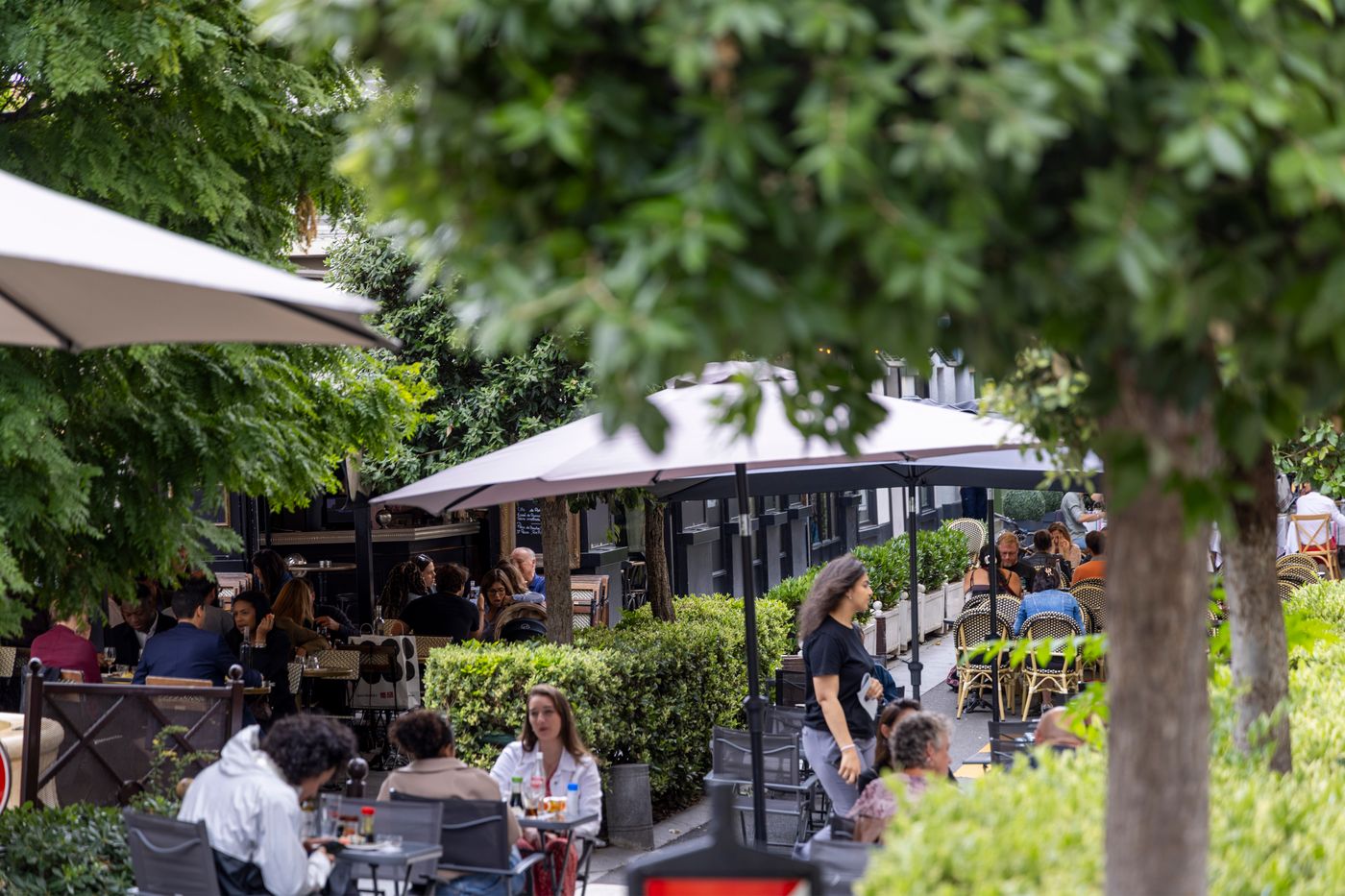 Charlemagne-France-NEUILLY SUR SEINE-General view-7