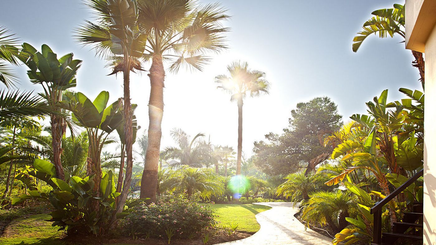 Mimosas-Banus-General-view-9