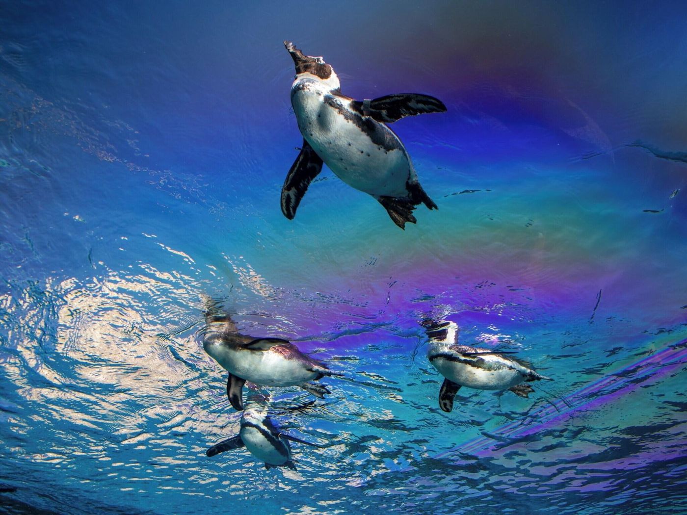 Hotel Resol Ikebukuro-Japan-TOKYO-General view-8