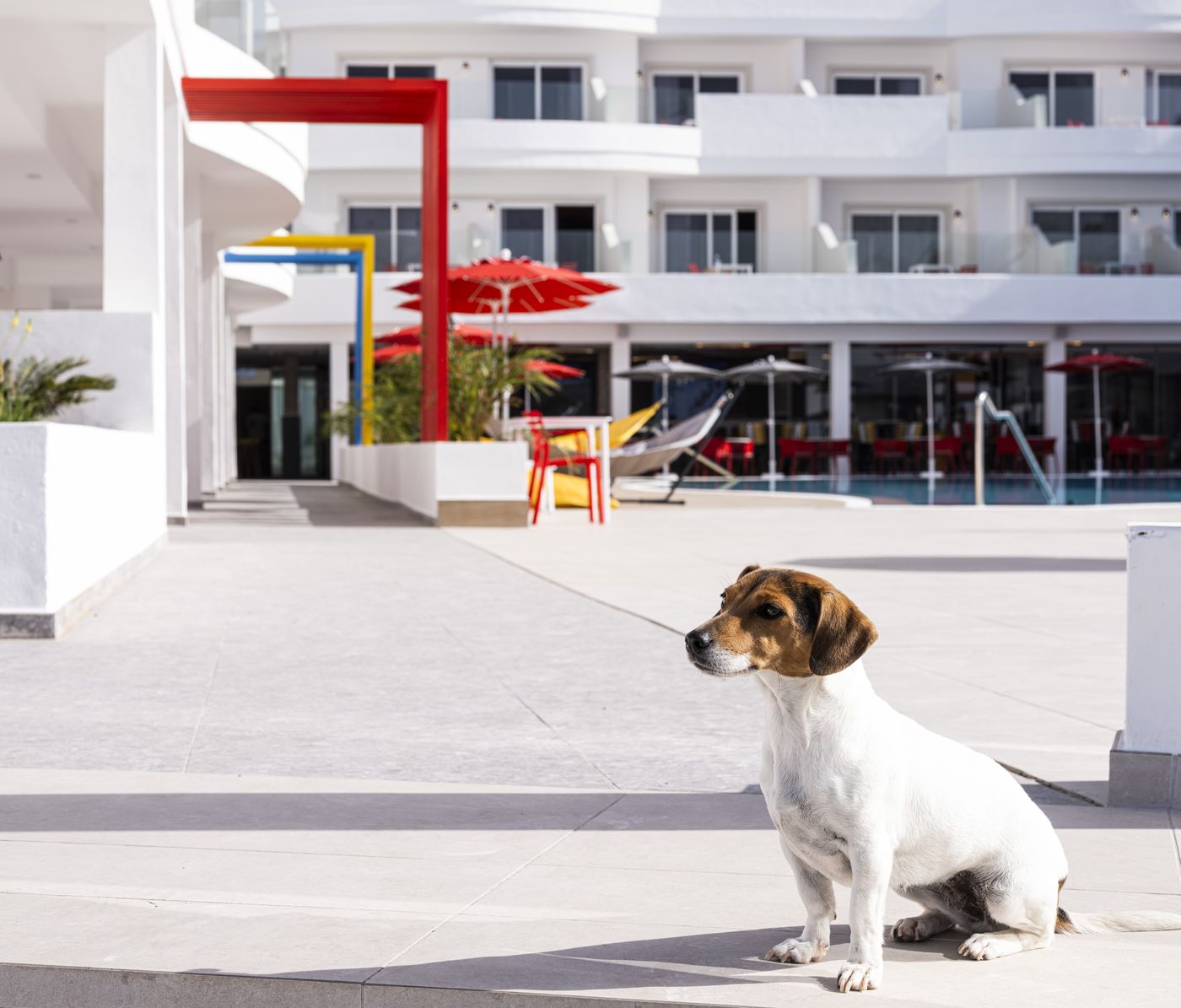 Sholeo-Lodges-Los-Gigantes---Adults-Recommended-Sports-and-Entertainment-13