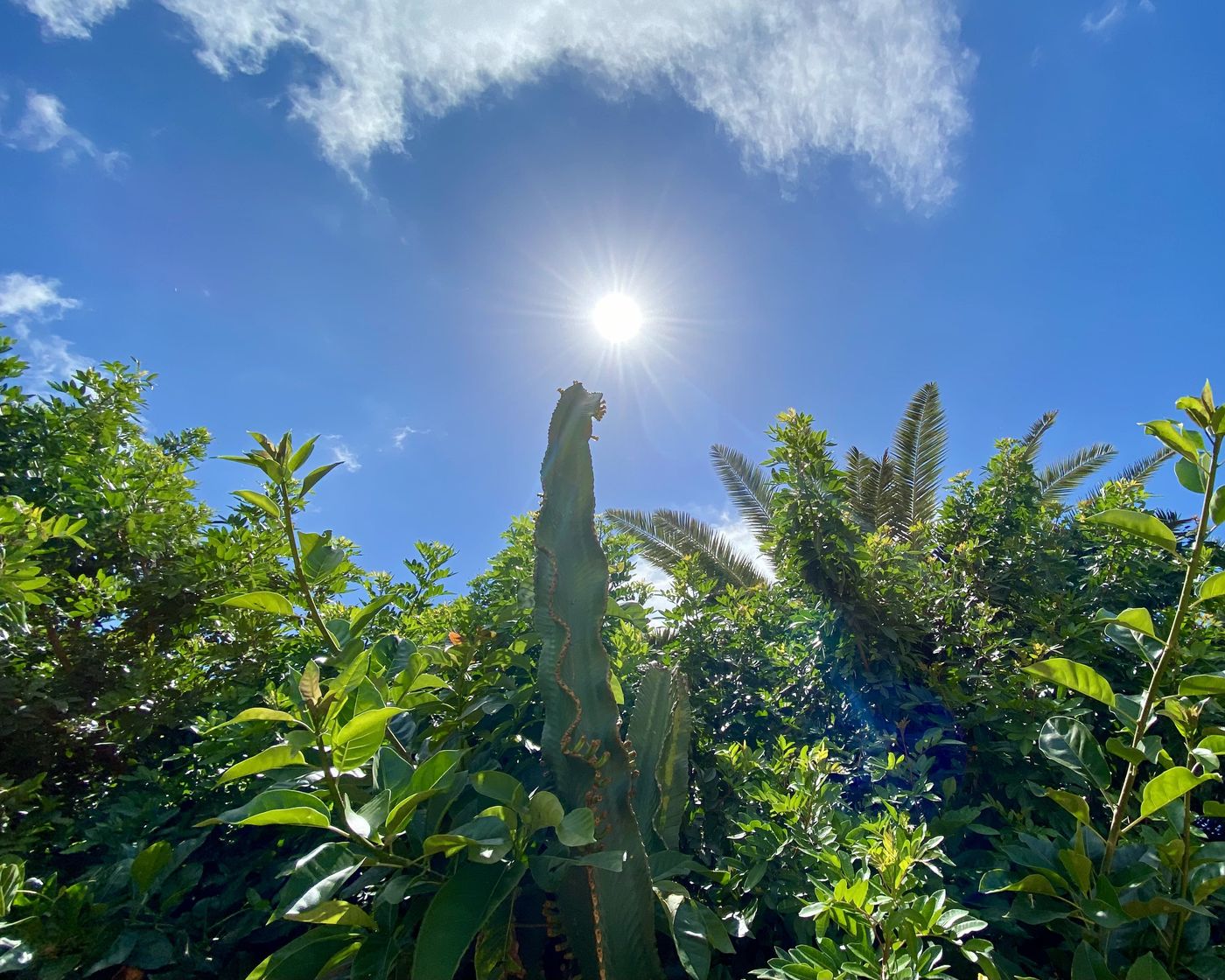 Leticia-Del-Mar-Pool-29