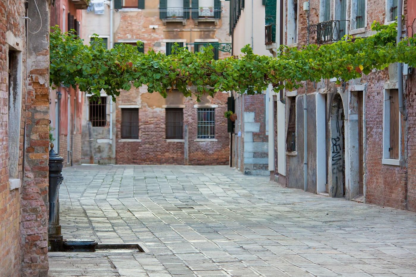 Alla-Vite-Dorata-General-view-8