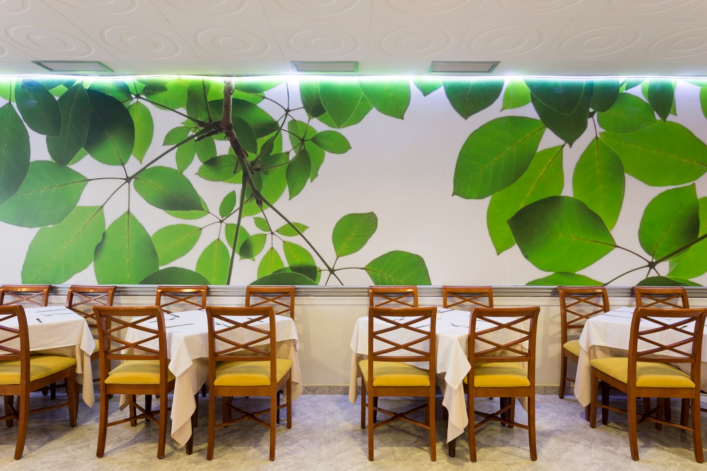 Pinero Bahia De Palma Hotel