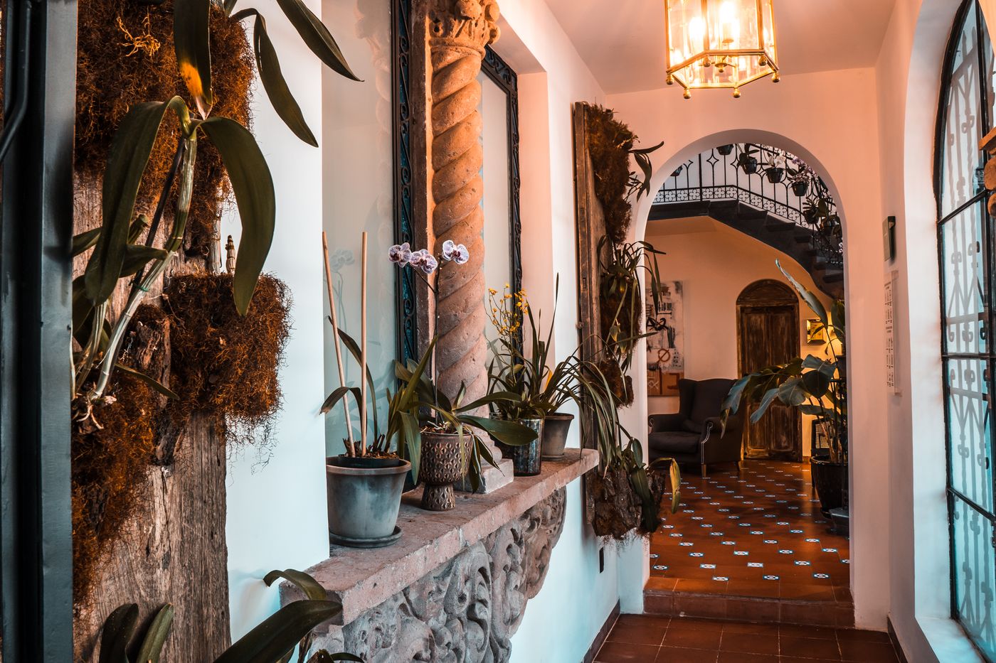 Orchid House Polanco-Mexico-Ciudad de México-Lobby-9