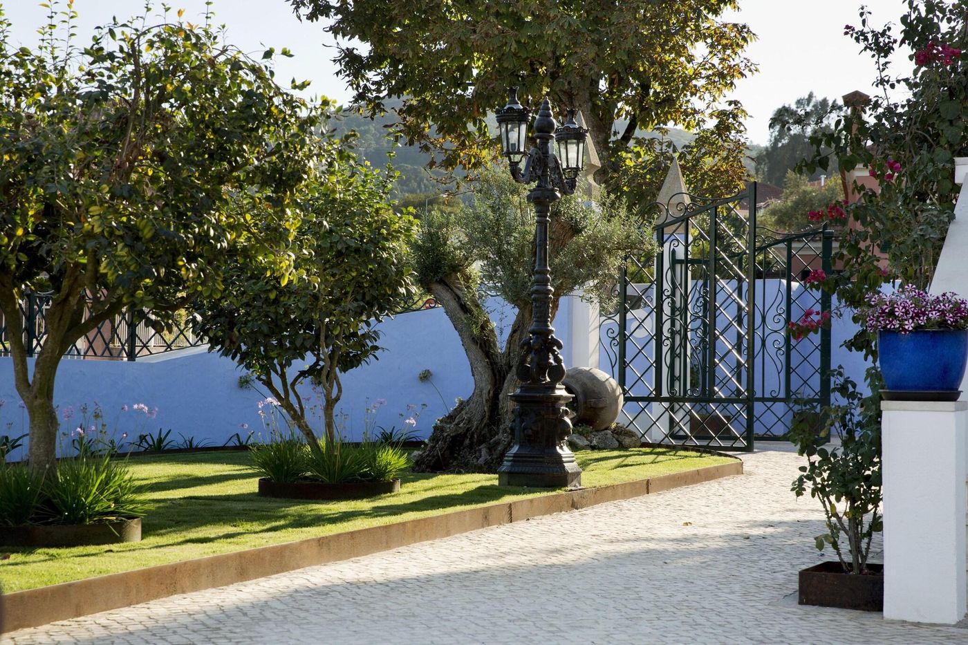 Ninho-Saloio-General-view-9